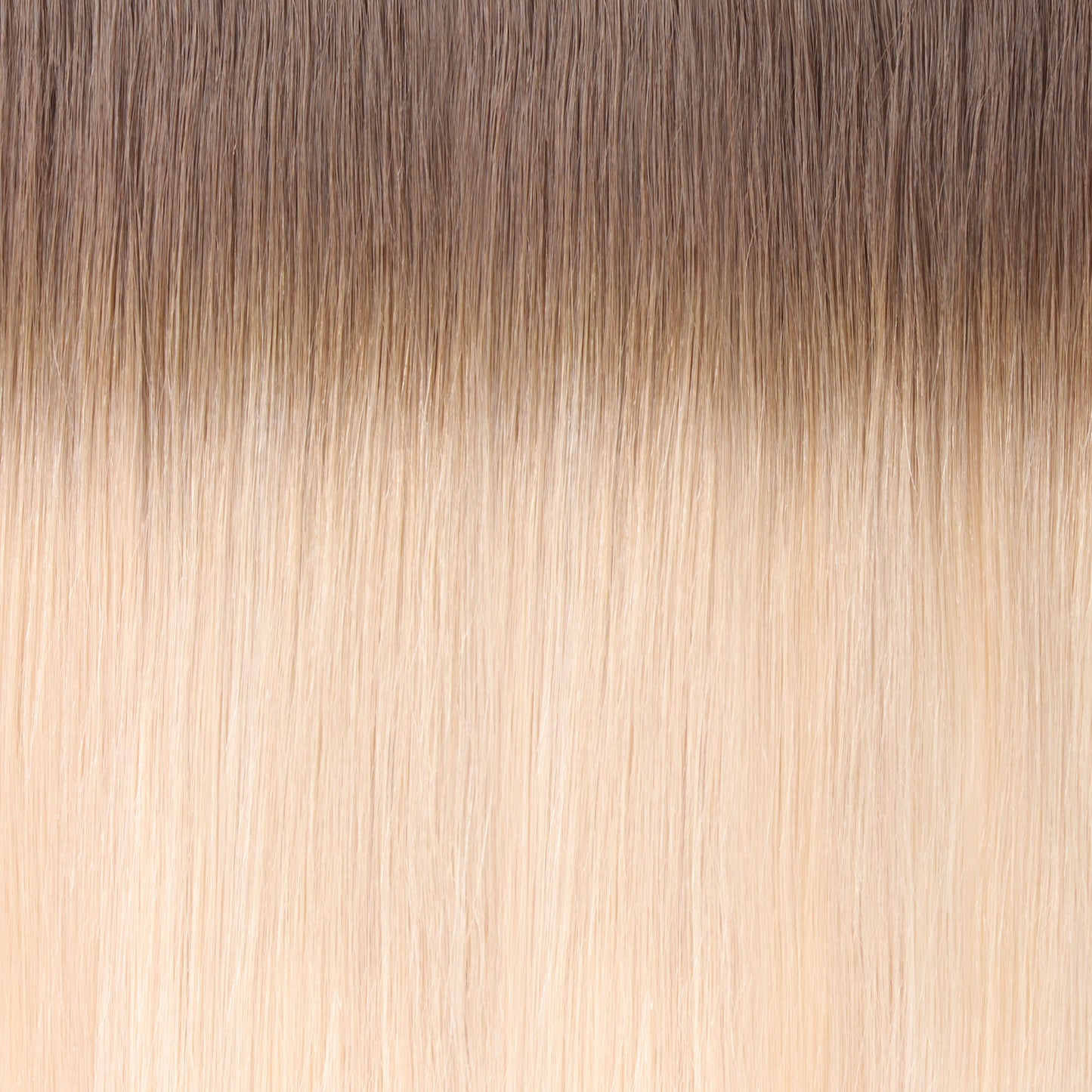 HALF WEFT - COLOUR T5/55